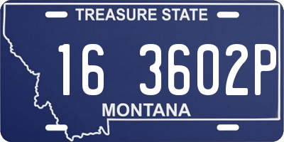MT license plate 163602P
