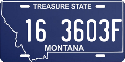 MT license plate 163603F