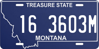 MT license plate 163603M