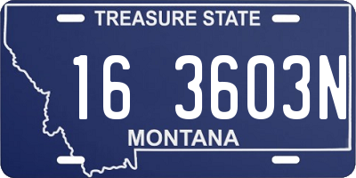 MT license plate 163603N