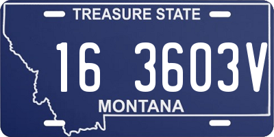 MT license plate 163603V
