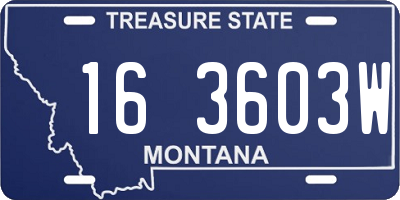 MT license plate 163603W