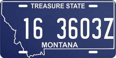 MT license plate 163603Z