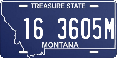 MT license plate 163605M