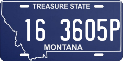 MT license plate 163605P