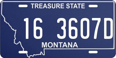 MT license plate 163607D