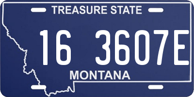 MT license plate 163607E