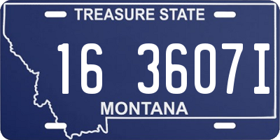 MT license plate 163607I