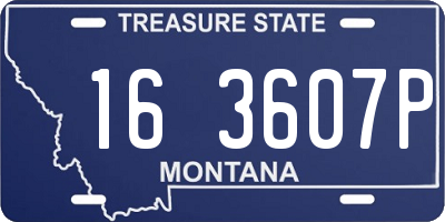 MT license plate 163607P