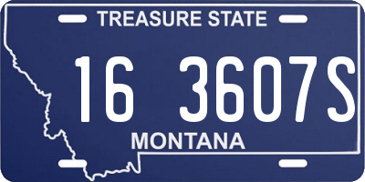 MT license plate 163607S