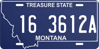 MT license plate 163612A