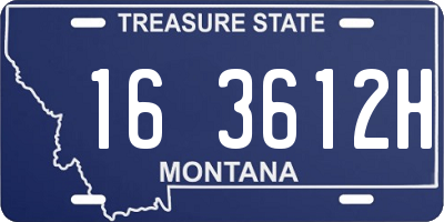 MT license plate 163612H