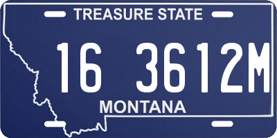MT license plate 163612M