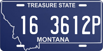 MT license plate 163612P