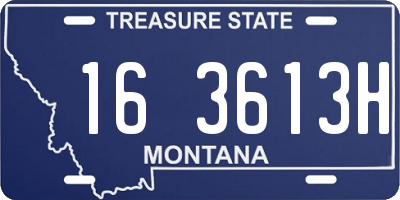 MT license plate 163613H