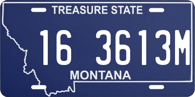 MT license plate 163613M