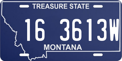 MT license plate 163613W