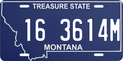 MT license plate 163614M