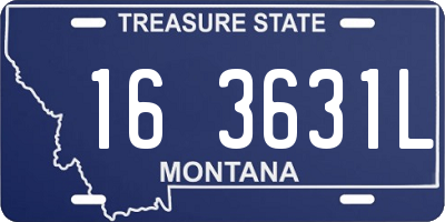 MT license plate 163631L