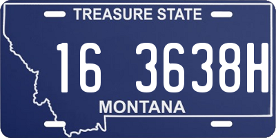 MT license plate 163638H