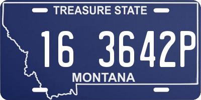 MT license plate 163642P