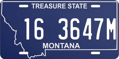 MT license plate 163647M