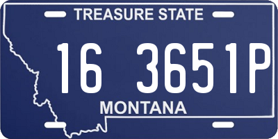 MT license plate 163651P