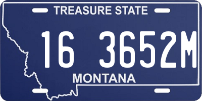 MT license plate 163652M