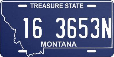 MT license plate 163653N