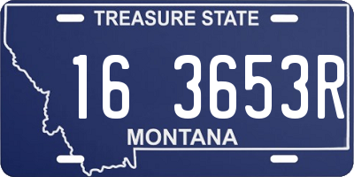 MT license plate 163653R