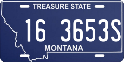 MT license plate 163653S