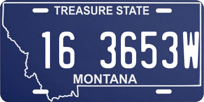 MT license plate 163653W