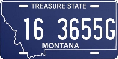 MT license plate 163655G