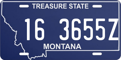 MT license plate 163655Z