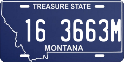 MT license plate 163663M