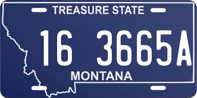 MT license plate 163665A