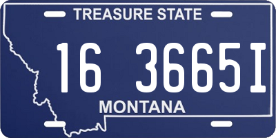 MT license plate 163665I