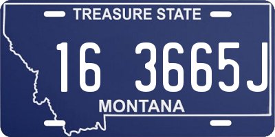 MT license plate 163665J
