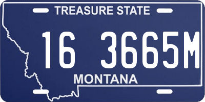 MT license plate 163665M