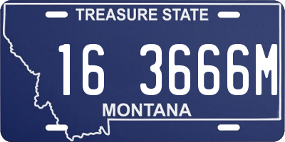 MT license plate 163666M