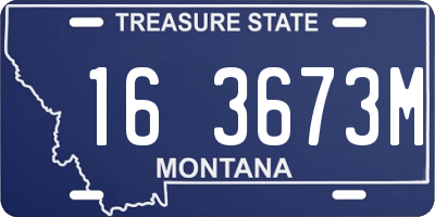 MT license plate 163673M