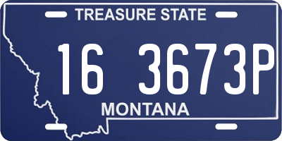 MT license plate 163673P