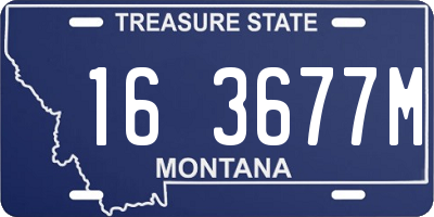 MT license plate 163677M