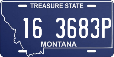 MT license plate 163683P
