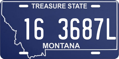 MT license plate 163687L