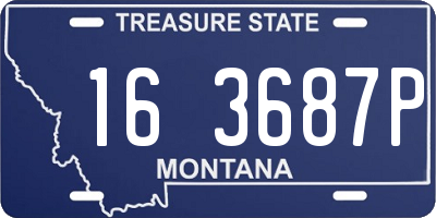 MT license plate 163687P