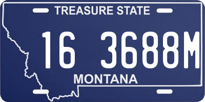 MT license plate 163688M