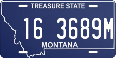 MT license plate 163689M