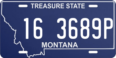 MT license plate 163689P