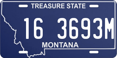 MT license plate 163693M